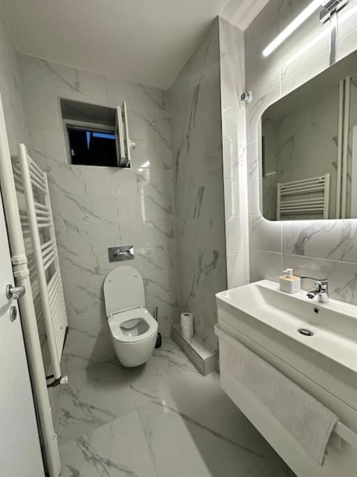 Ultracentral Luxury Apartament Timişoara Exteriör bild